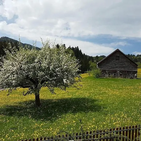 Apartman Gemuetliche Und Geraeumige Nesslau